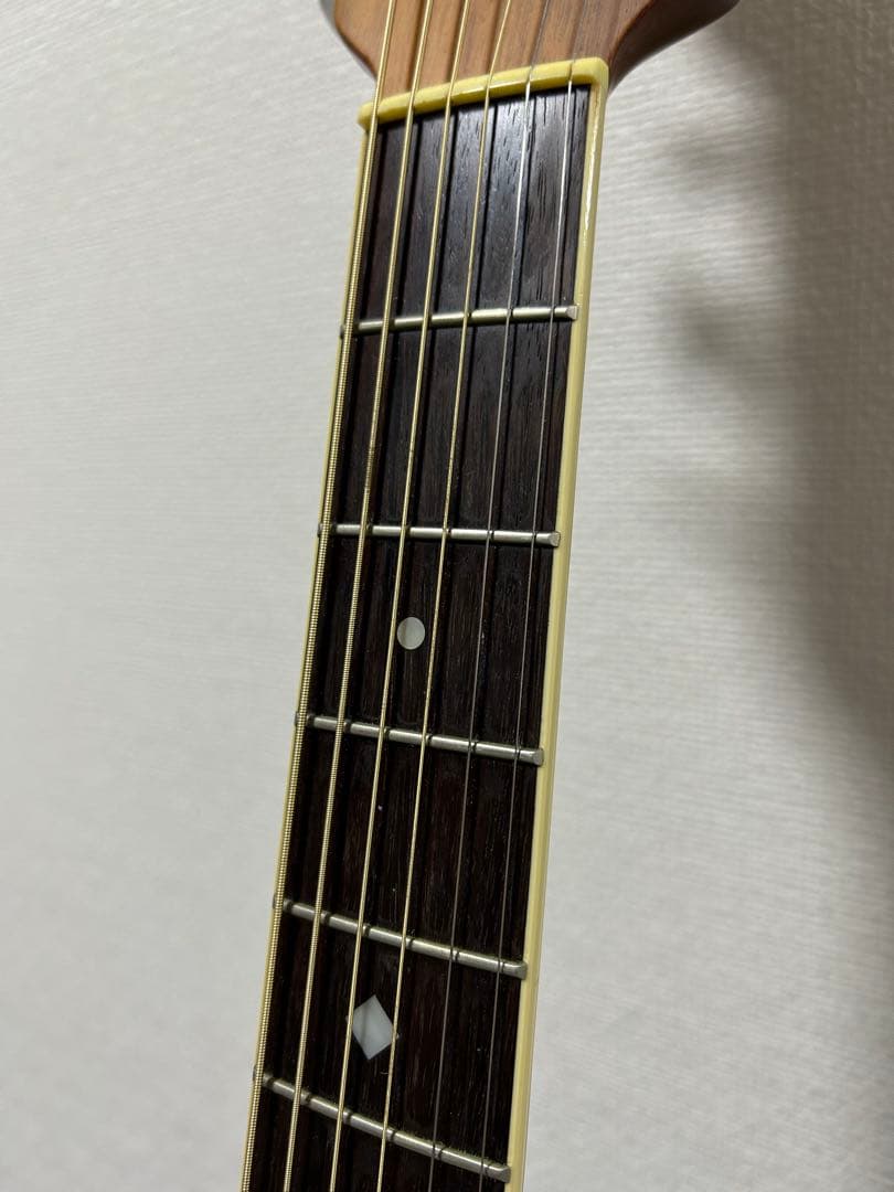 Ovation アコースティックギター グリーン