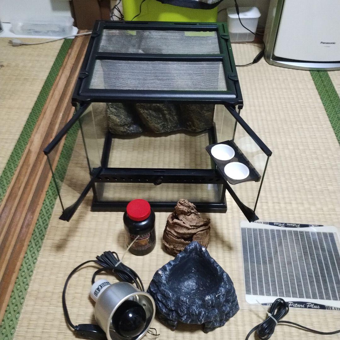 中型アクアテラリウム グラステラリウムヒーター スポットライト