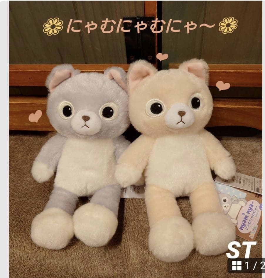 にゃむにゃむにゃ〜 STセット ねこ ぬいぐるみ