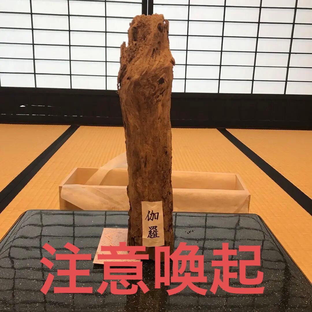極上伽羅らしき（ただの古木）